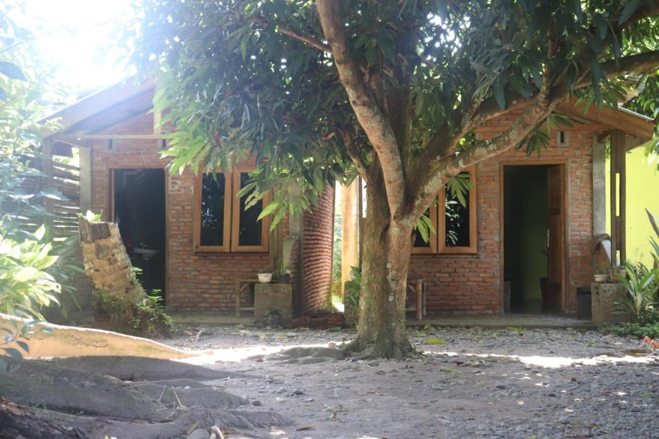 Jhony'S Backpacker-Guest House Only Stay Here Book Treking With Us Bukit Lawang Εξωτερικό φωτογραφία