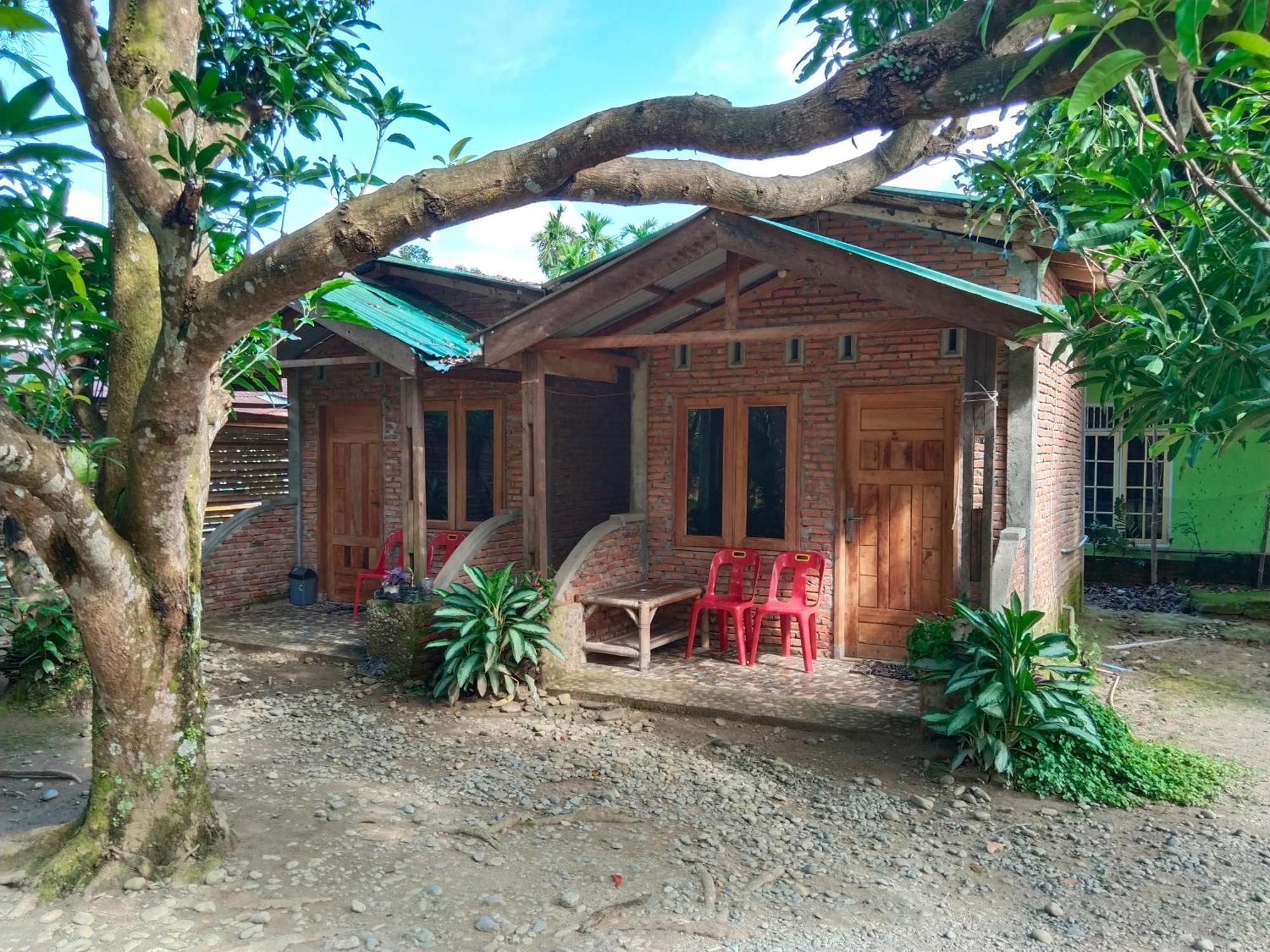 Jhony'S Backpacker-Guest House Only Stay Here Book Treking With Us Bukit Lawang Εξωτερικό φωτογραφία
